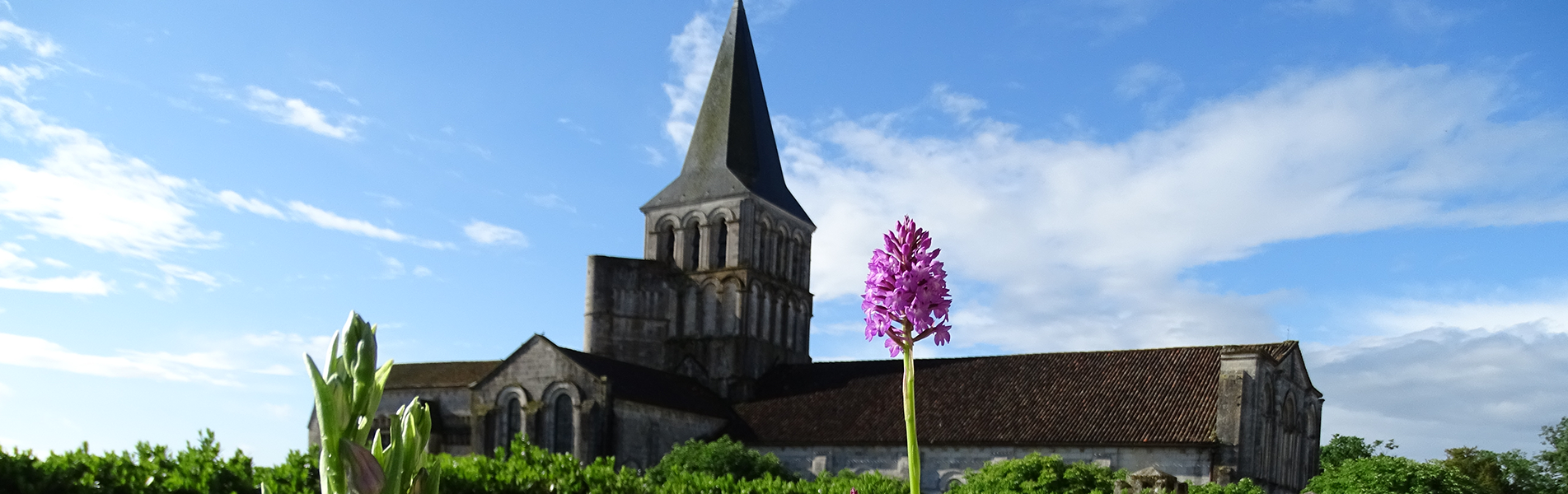 Saint-Amant-de-Boixe-slider-01