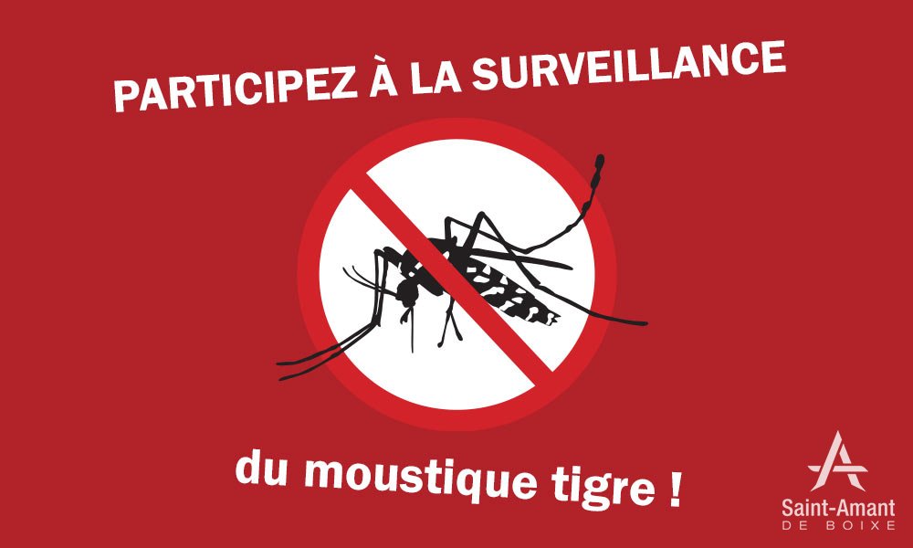 Saint-Amant-de-Boixe-ACTUS-moustiques-tigre