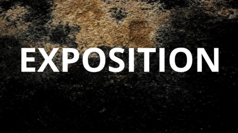 EXPOSITION
